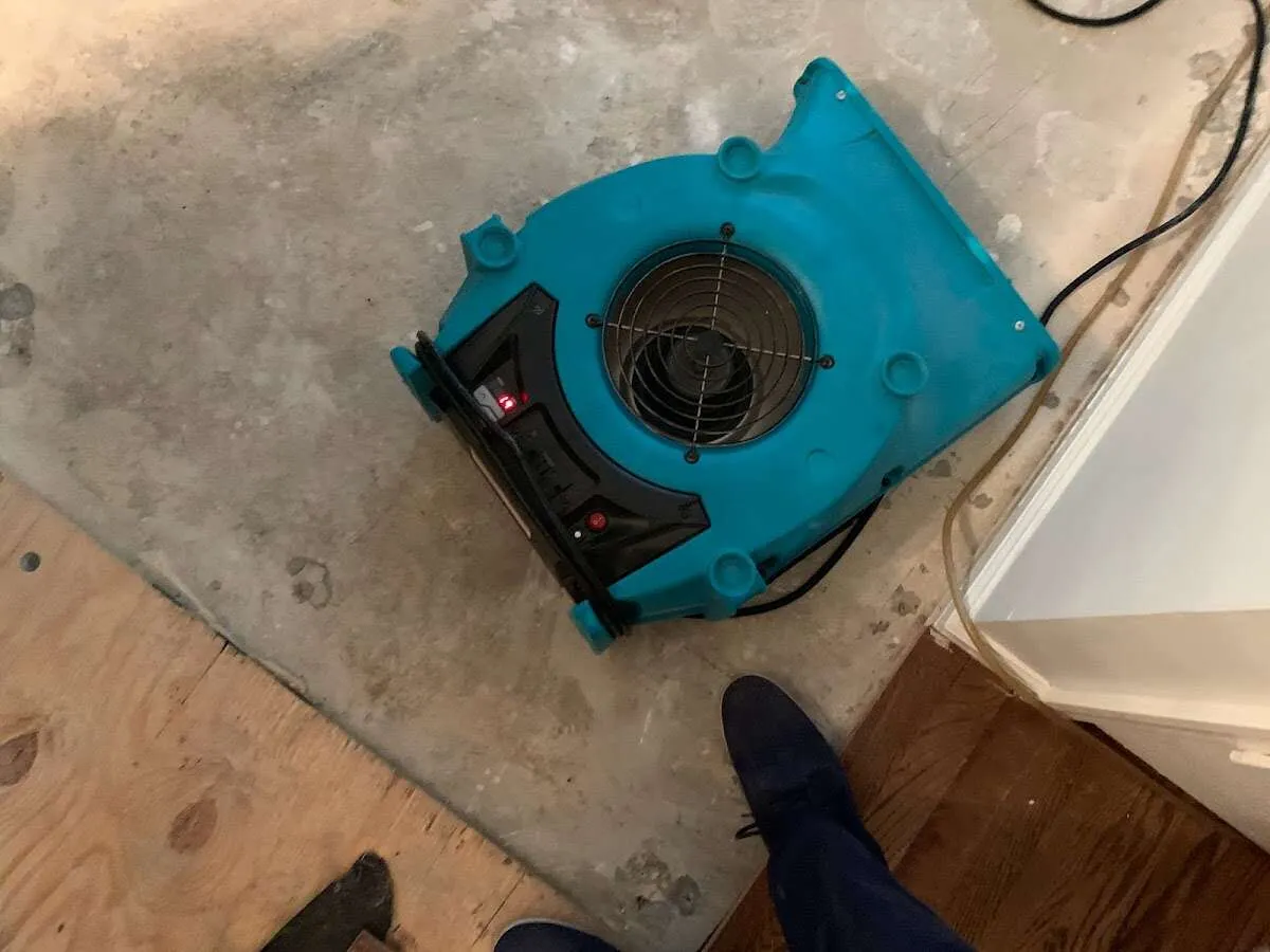 Air mover drying subfloor during Leak Detection & Repair in Battlefield